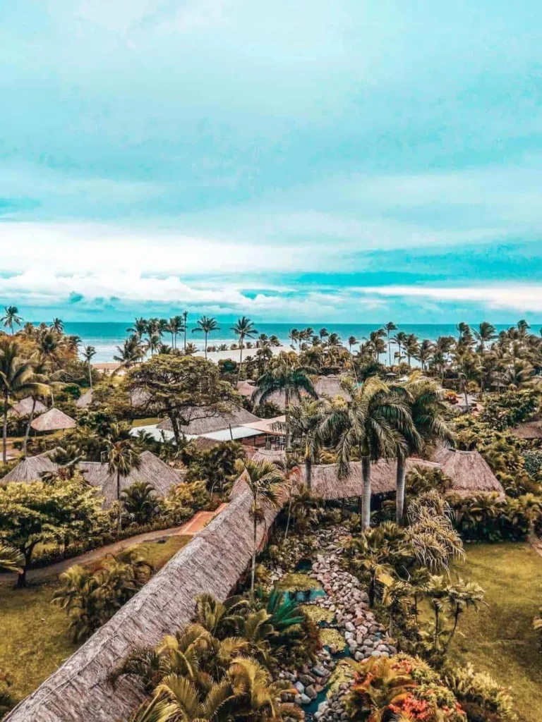island and palms